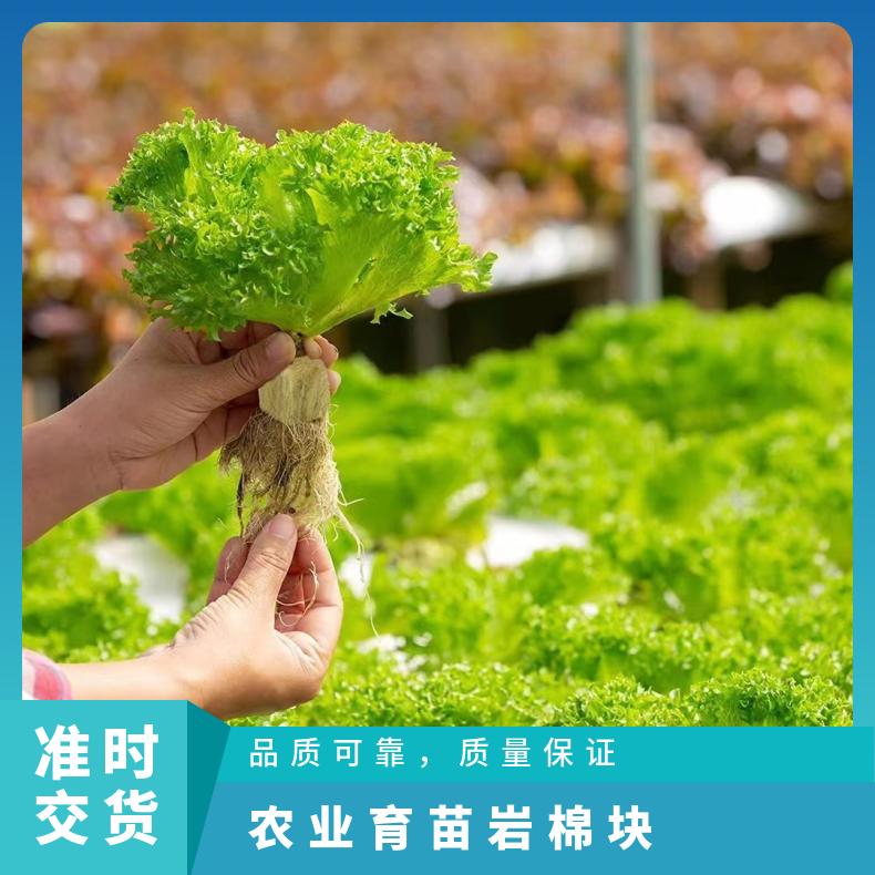 银通环保育苗盒蔬菜幼苗充分吸水应用领域广泛