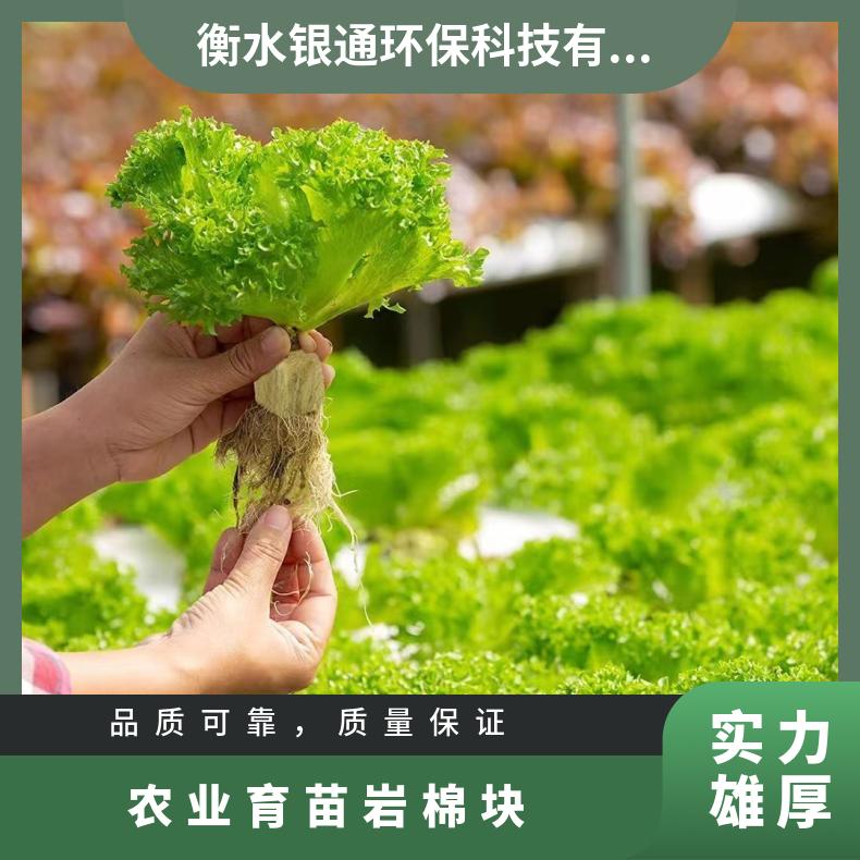 银通环保种植岩棉基质瓜果苗木促进苗木生长