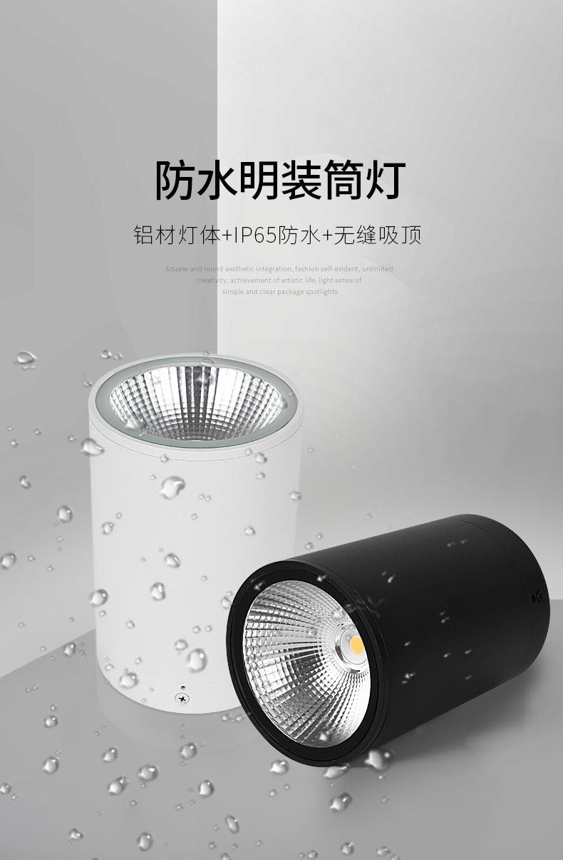 防水明装筒灯_01.jpg
