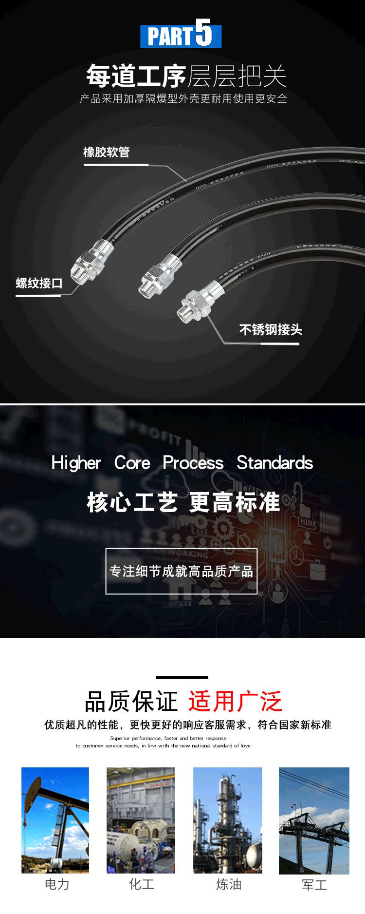 防爆挠性管-型号-BNG_06