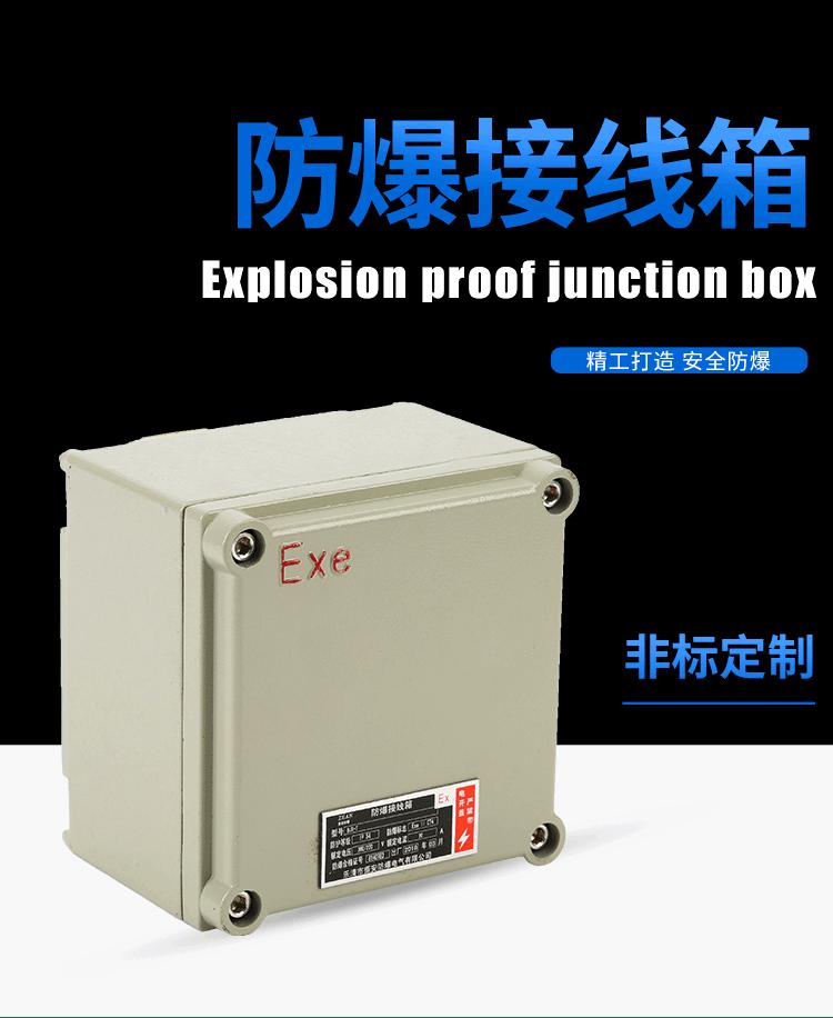 防爆接线箱-增安型--尺寸135x135x90_01