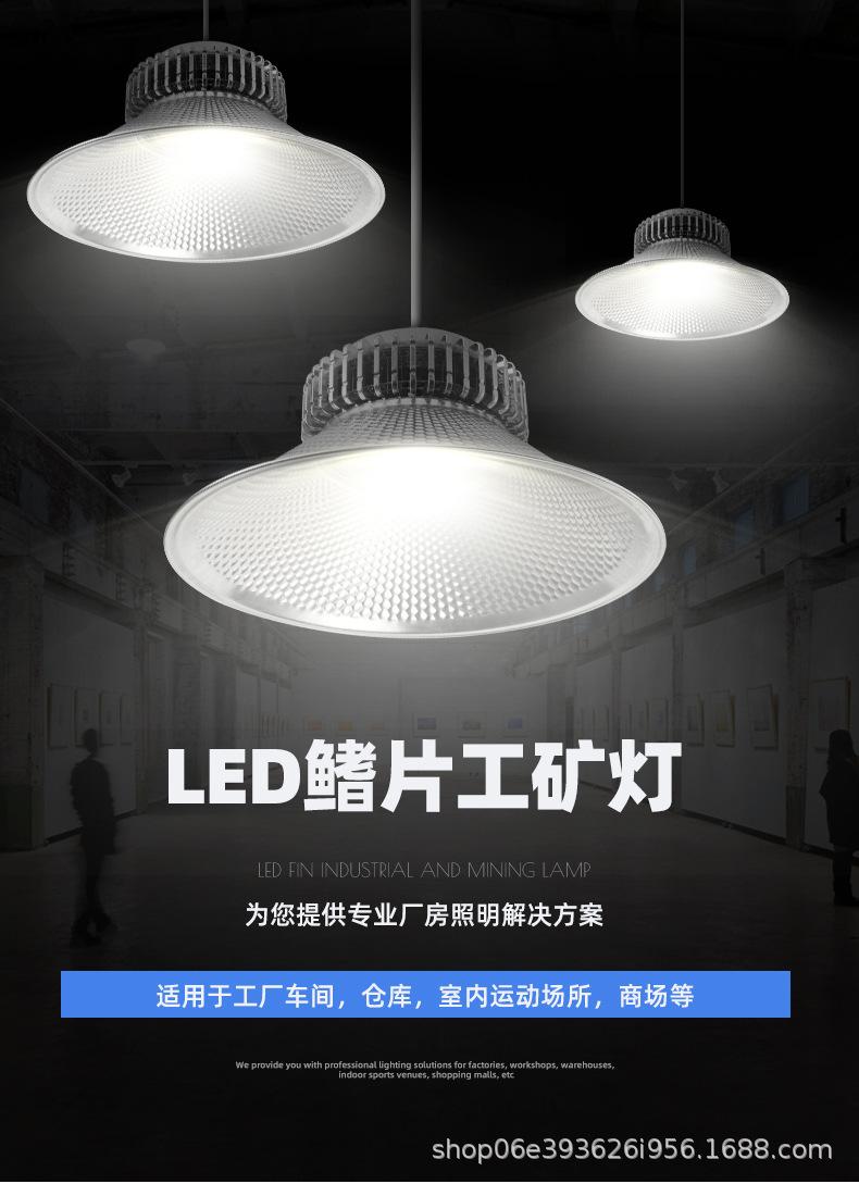 详情_01.jpg