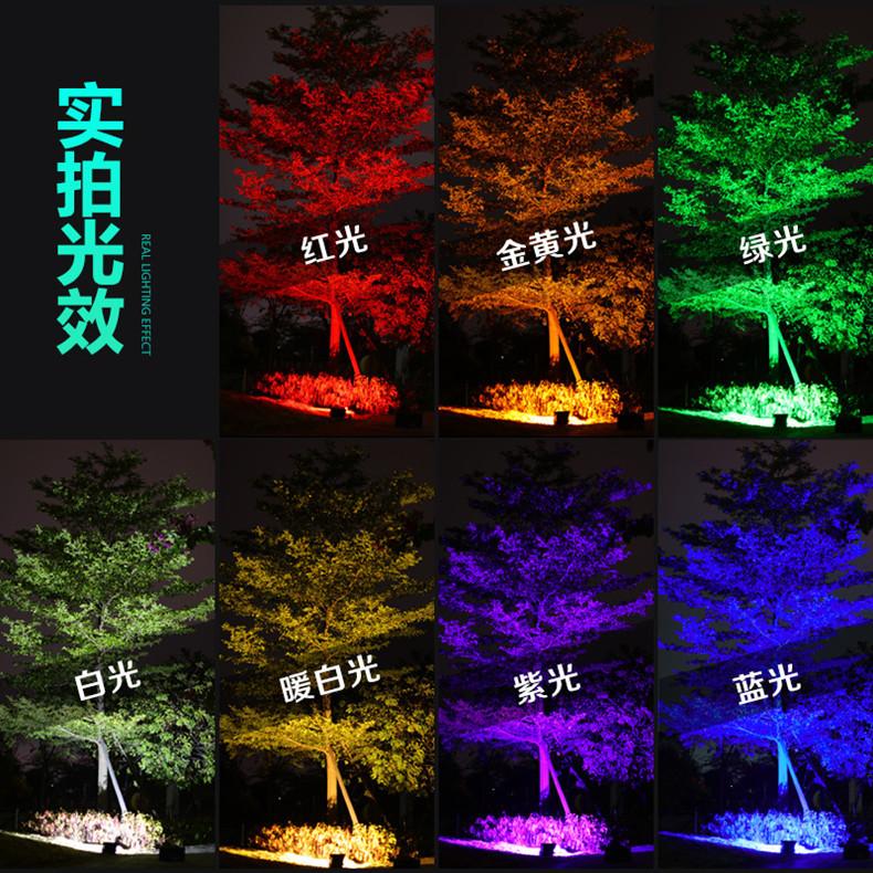 详情图片_09.jpg